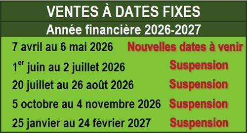 calendrier_ventes_bmmb.png